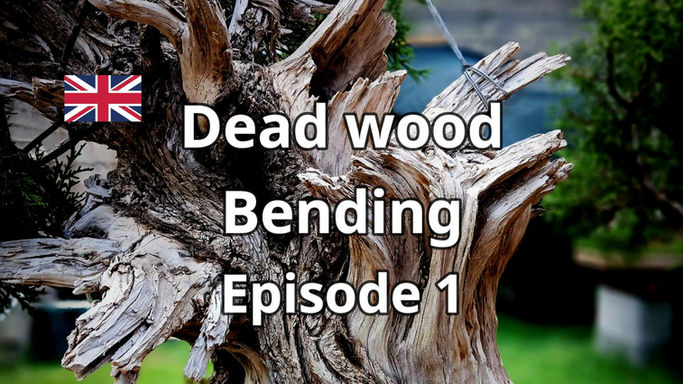Book - Dead wood - Bending Ep.1